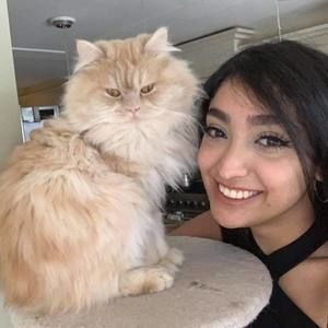 Meet your Posher, Farnoosh